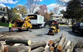 Best Lawn Maintenance Plans  in Union City, PA